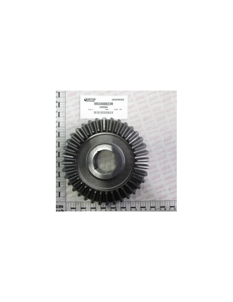 RING BEVEL GEAR