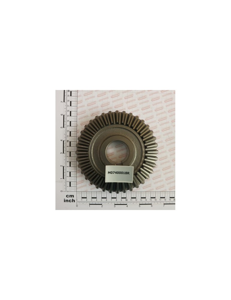 RING BEVEL GEAR