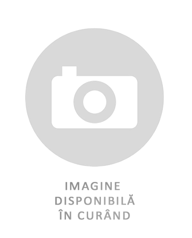 Anvelope Tractoare VOLTYRE Y-166 13.6 - 38 TT 6PR