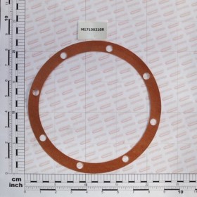 GASKET MM.0,1