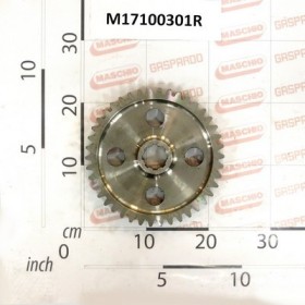GEAR