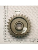 GEAR Z-24