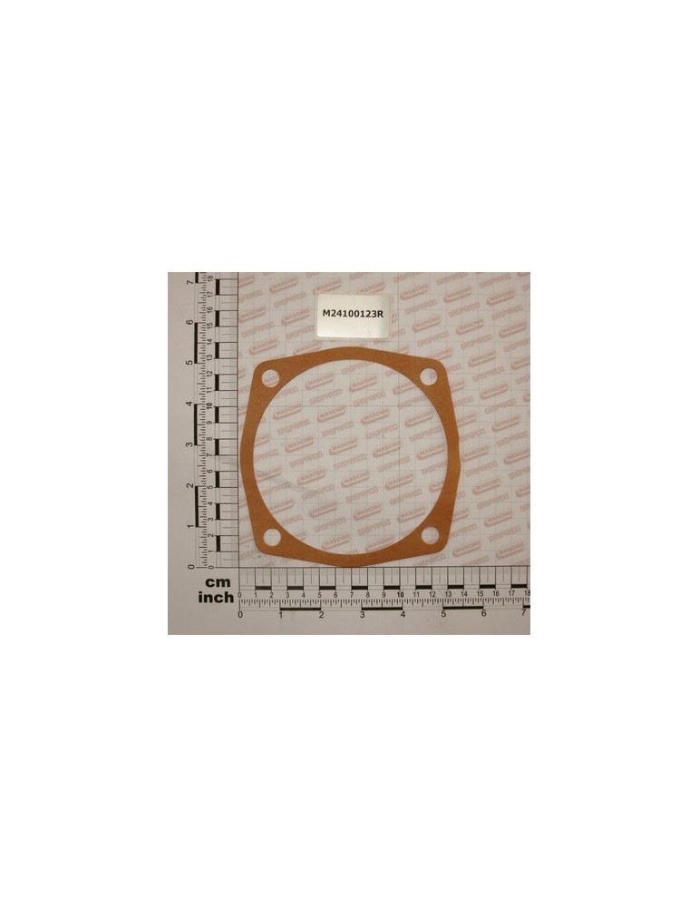 GASKET MM.0,1