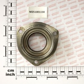 FLANGE