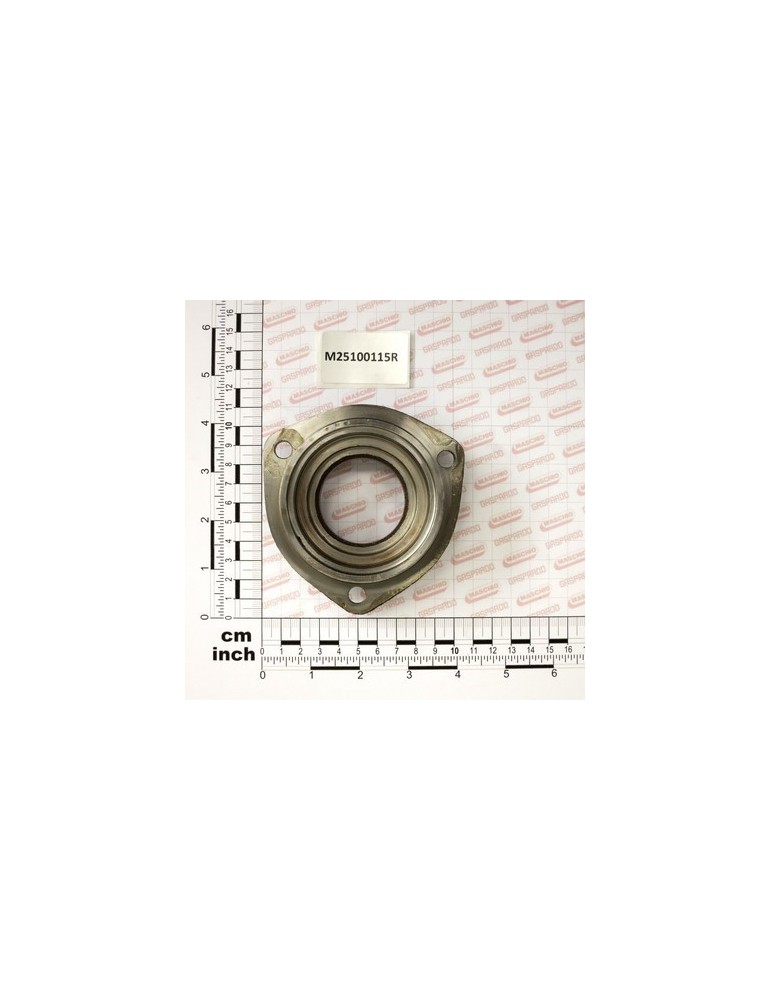 FLANGE