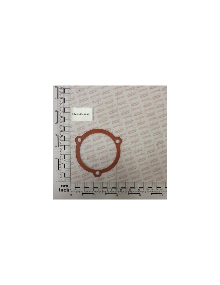GASKET SP.0,1
