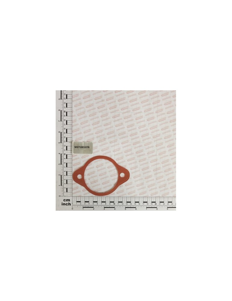 GASKET MM.0,1