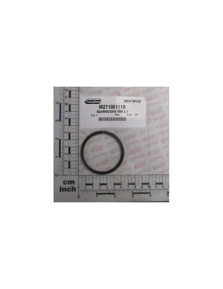 GASKET MM.0,1