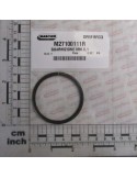 GASKET MM.0,1