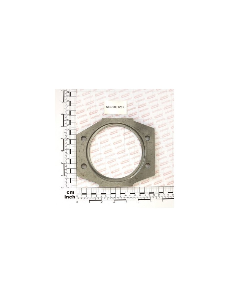 BEARING SUPPORT FLANGE PINION
