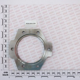 BEARING SUPPORT FLANGE PINION