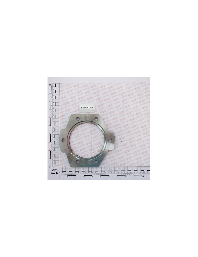 BEARING SUPPORT FLANGE PINION