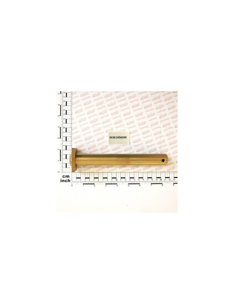 LOWER ARM PIN ASSY
