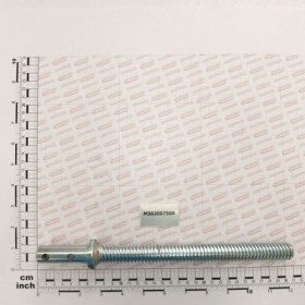 BOLT