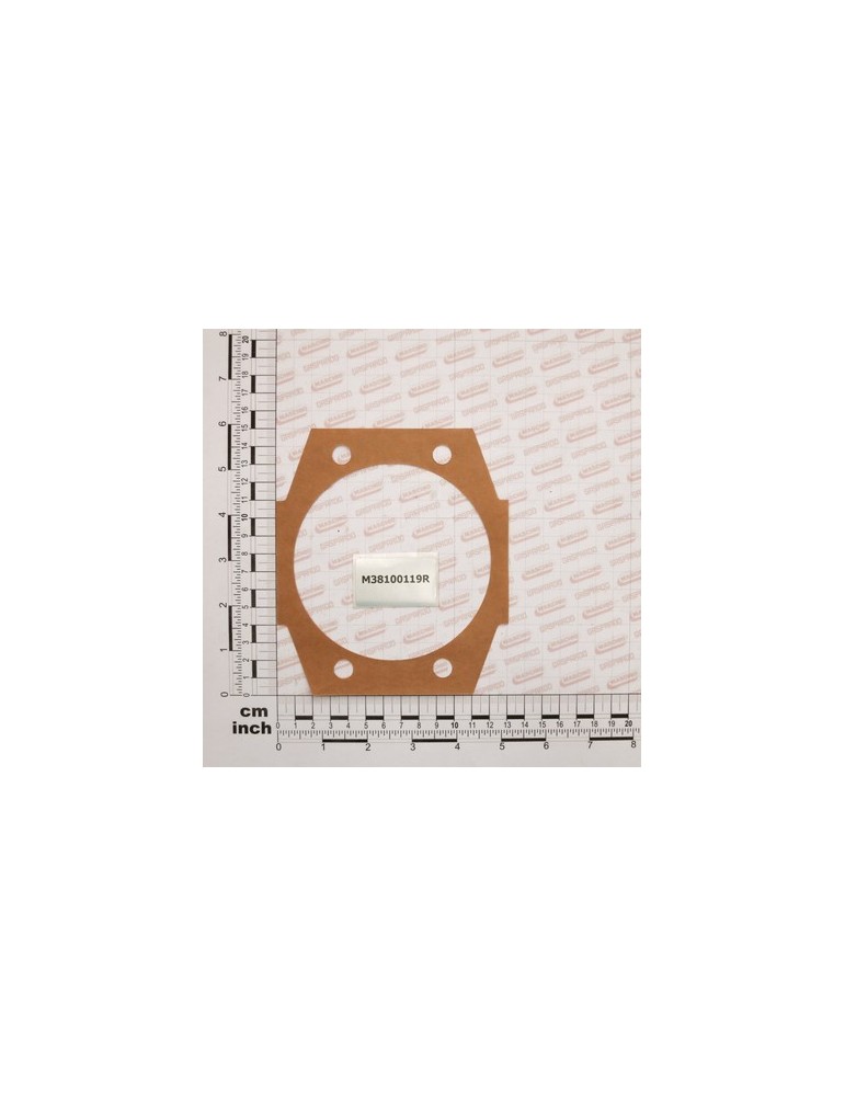 GASKET MM.0,1