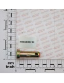 PIN