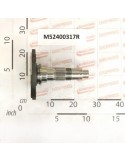 LATERAL BLADE SUPPORT