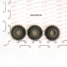 3 ELEMENTS BEVEL GEARS