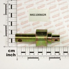 PIN