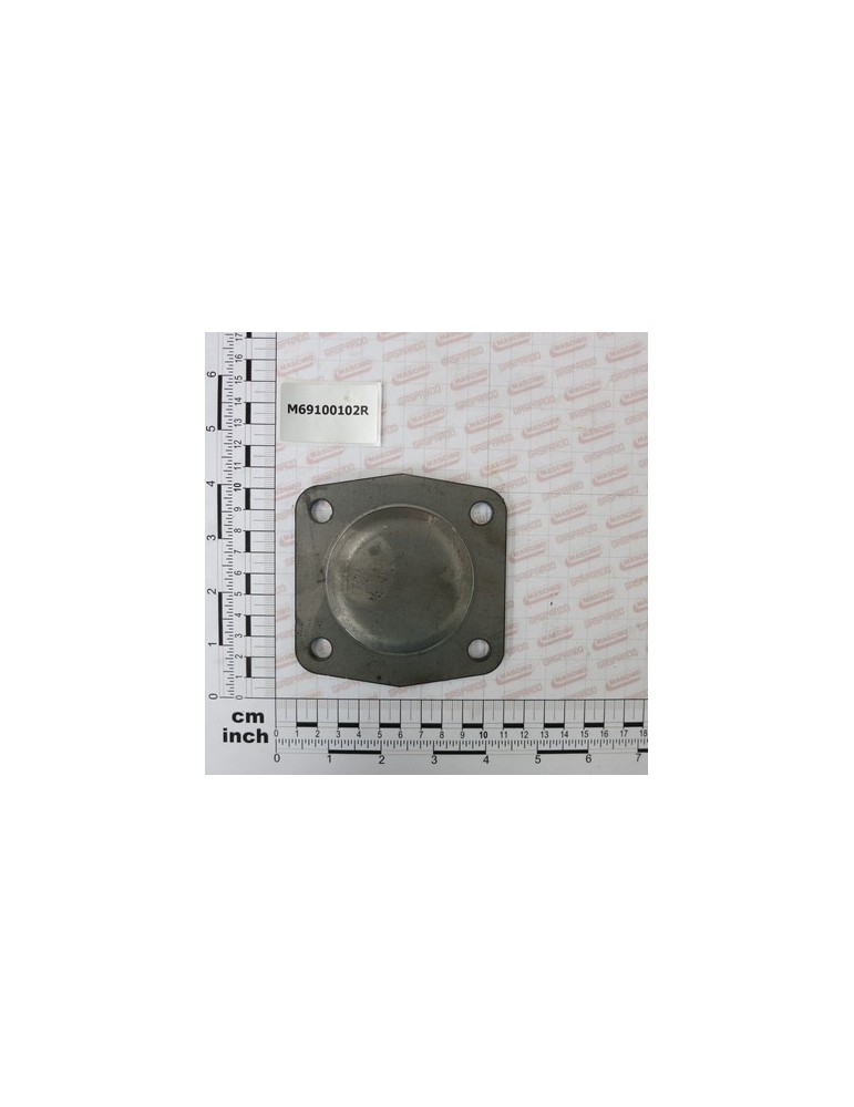 POSTERIOR COVER