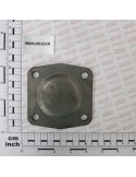 POSTERIOR COVER