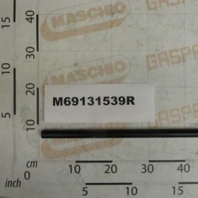 REAR GUARD