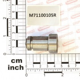 PIN