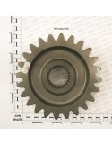 GEAR Z-24