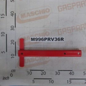 RASC. SPUNT/RIS LUNGO