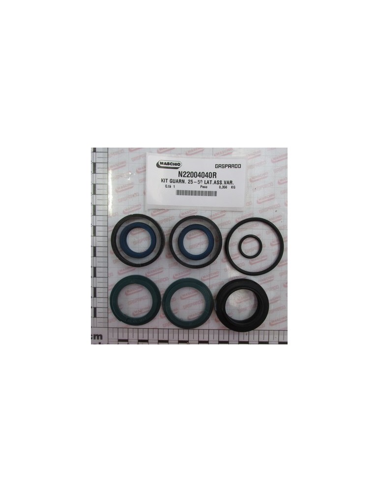 KIT GASKET 25-50 LAT.ASS.VAR.