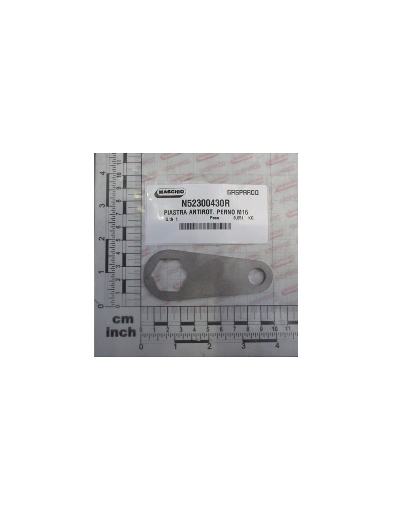 PLATE ANTIROT.PIN M16
