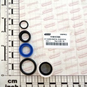 KIT CYL.GASKET R18010701R