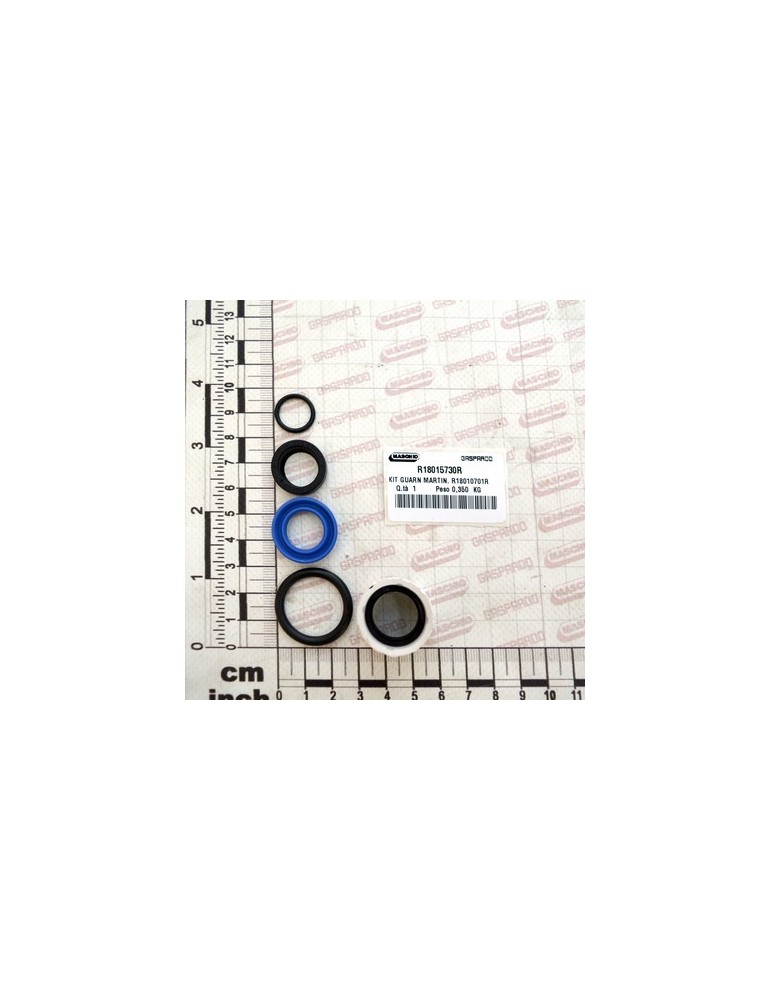 KIT CYL.GASKET R18010701R