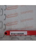 REAR RAFTER