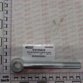 EYE-BOLT M20X175 D20