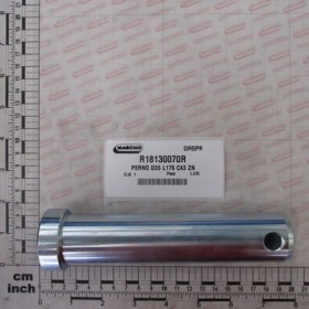 BOLT D36 L176 C43 ZN