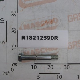 SCREW LUBRIF.M30X3,5X210 8.8