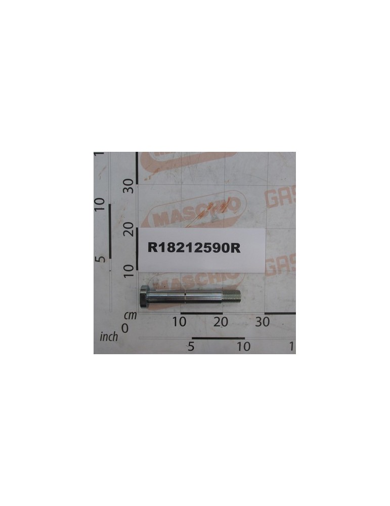 SCREW LUBRIF.M30X3,5X210 8.8