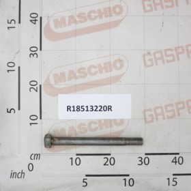 SCREW M24 L260