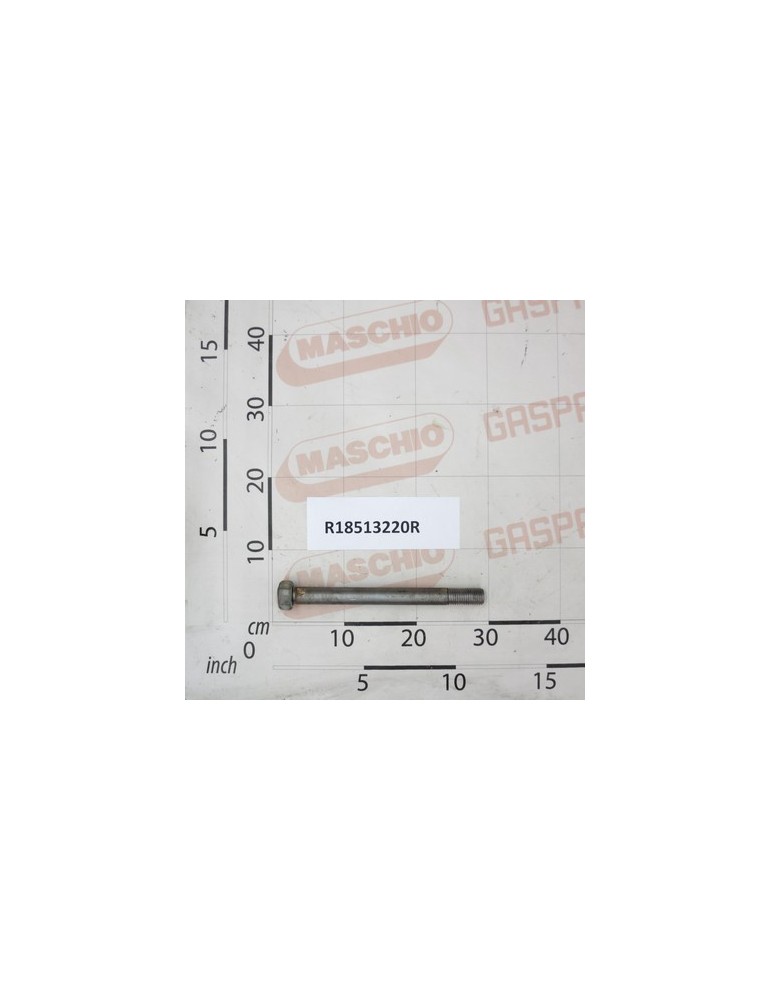 SCREW M24 L260
