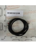 TR 2SN 3/8\"FD3/8 F903/8 L4200