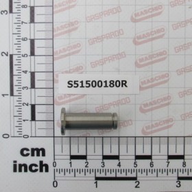 PIN INOX D10 L30