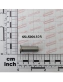 PIN INOX D10 L30