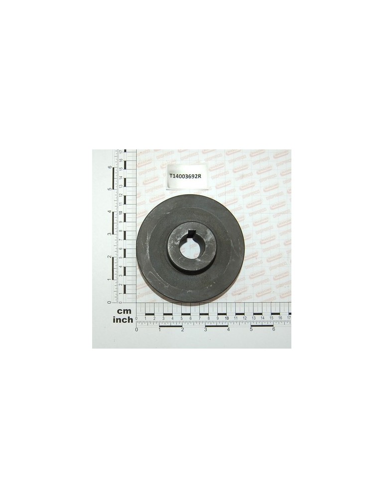 PULLEY MOD. 120