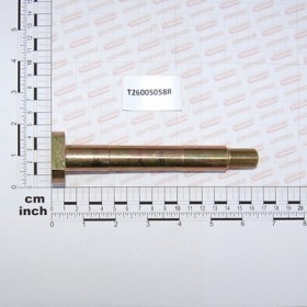 PIN