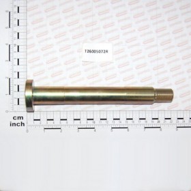 PIN
