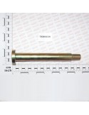 PIN