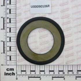 DUST RING PROTECTION 55/100