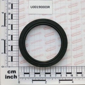 O RING.TEN.$70X90X10