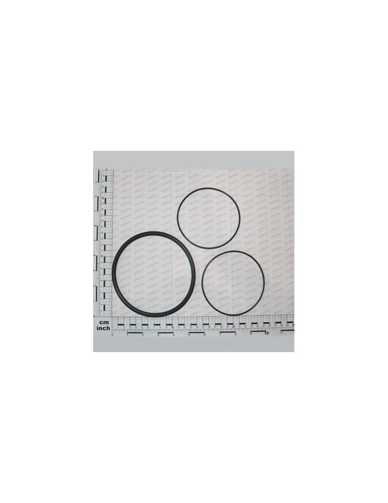 SEAL OR VITON FILTER ASP.260LT